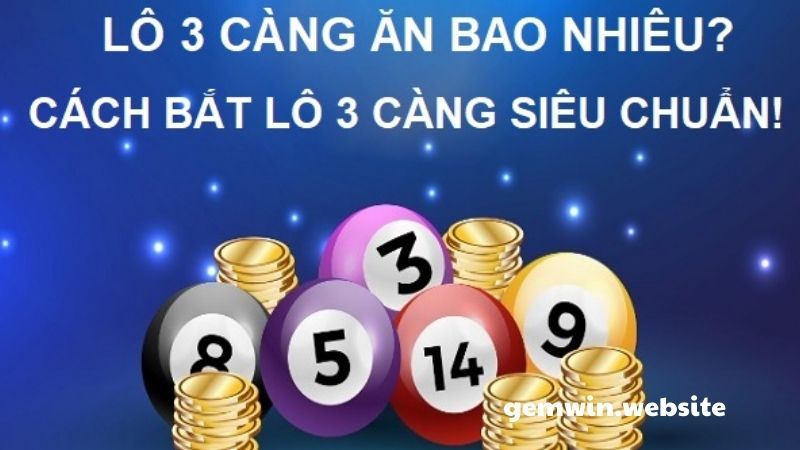 3 cang la gi ty le an lo 3 cang Tổng đề là cách đơn giản nhất cho những người mới chơi